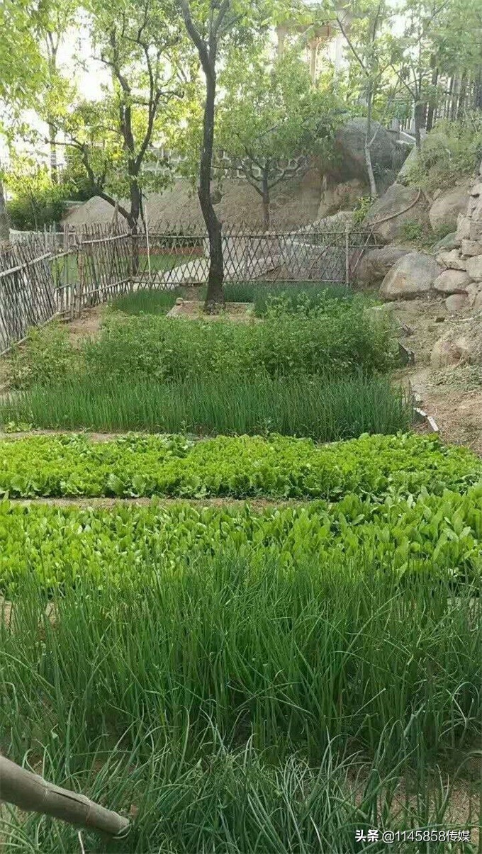 天津盘山紫云金润山庄,天津蓟州盘山金润山庄