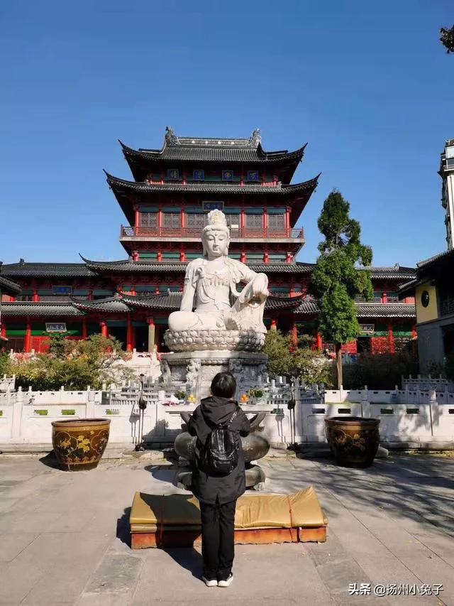 白鹿仓面粉,半球和中裕的面粉哪个好