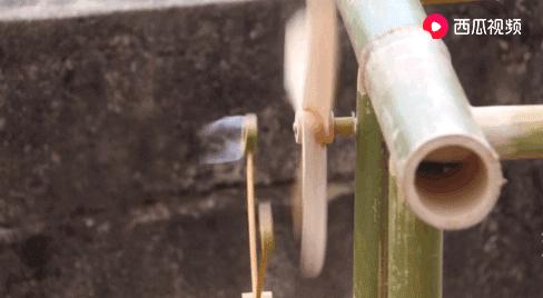 西瓜视频独家签约创作人阿木爷爷，被央视新闻联播点赞了