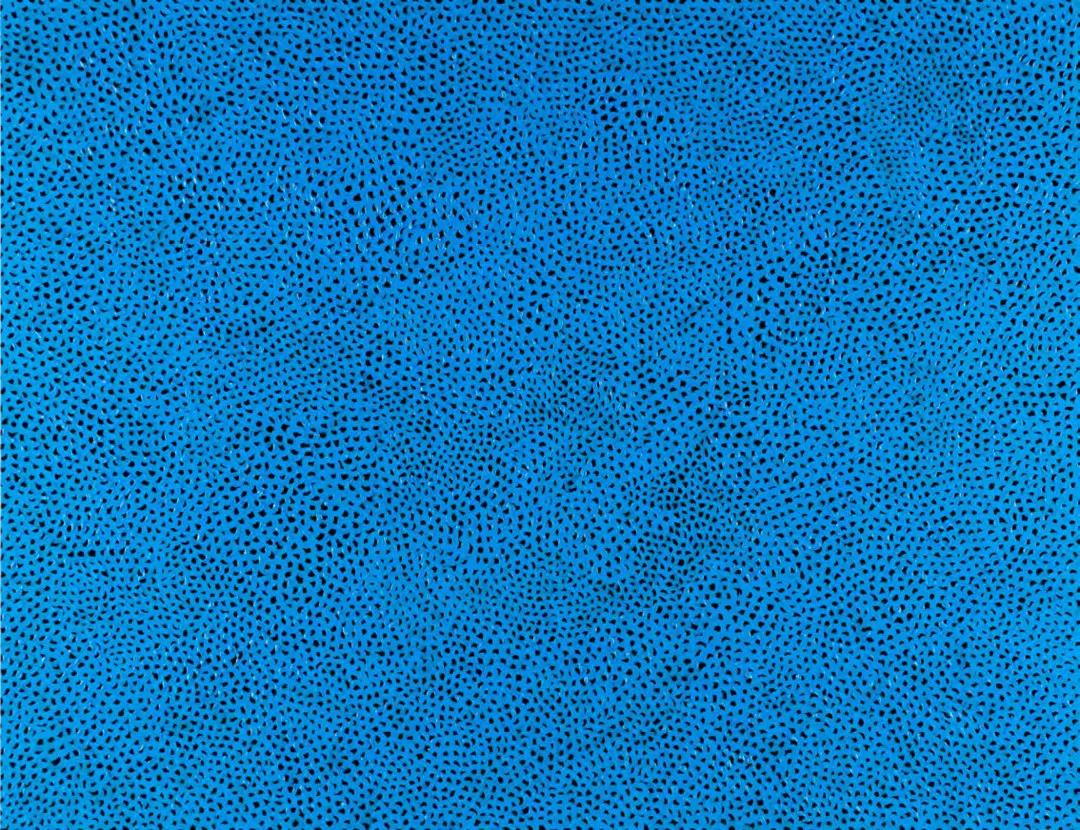 2017年迈阿密艺术博览会作品展示,2019年迈阿密魅力秀