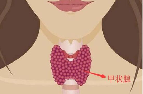 甲减是怎么回事能吃海带吗,甲减是怎么回事好治疗吗用什么药