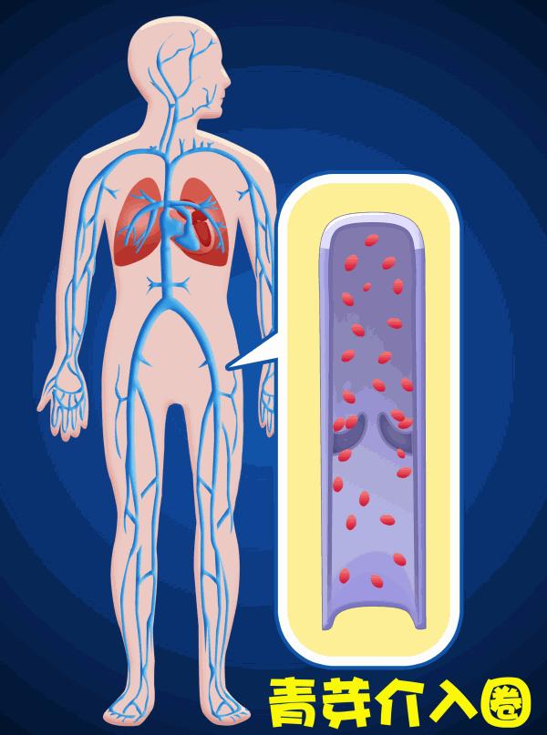 腿肿要警惕四种病,人的腿肿是什么病的前兆