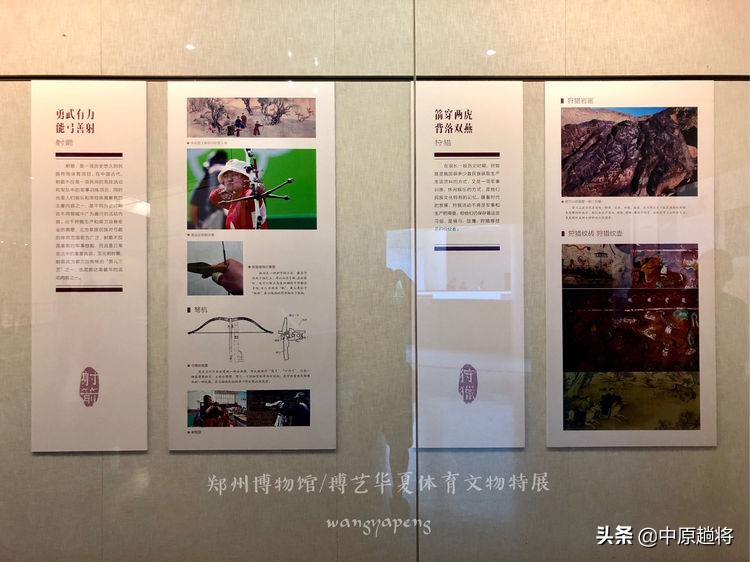 古代的体育运动你知道多少？郑州博物馆看华夏体育*物文**特展