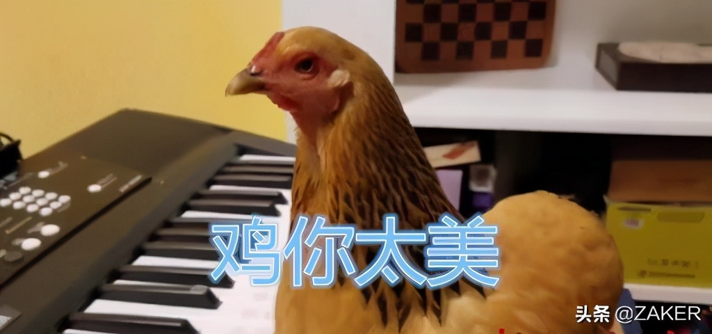 血洗空头预测,血洗华尔街后散户能赢到最后吗