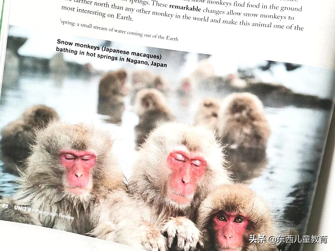 深度测评|看看咱们的英语“牛娃四件套”能炸出多少潜在牛娃