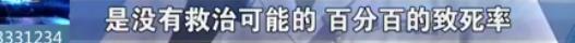 一个人在家里被大狗咬了,宠物猫咬主人一口主人被截肢