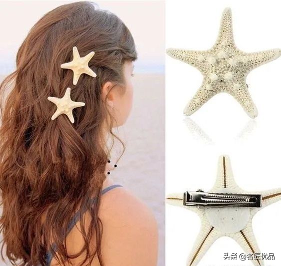 大海的馈赠咋做,大海的馈赠贝壳