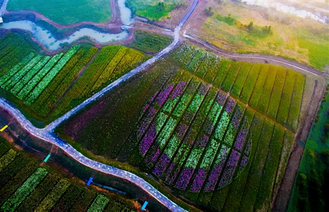 国庆肥西十大网红打卡地,合肥春游打卡攻略