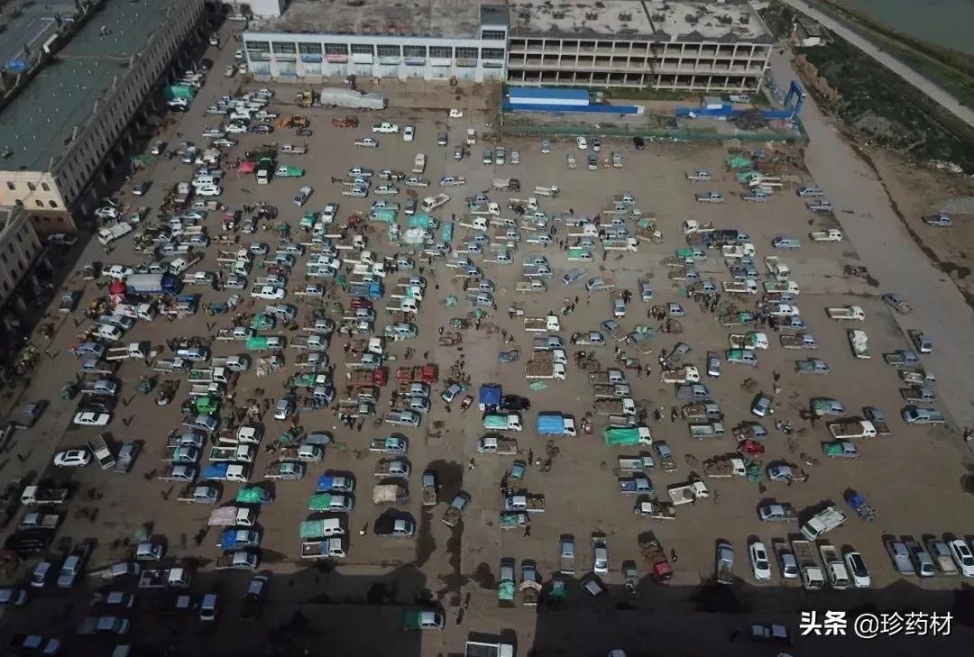 12月份中药材信息网药材价格行情,药材市场现状药材单价