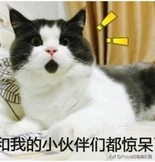 维密超模瘦腰法,维密丰胸细腰翘臀训练