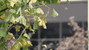 7月去哪里旅游性价比高,9月性价比高的旅游推荐