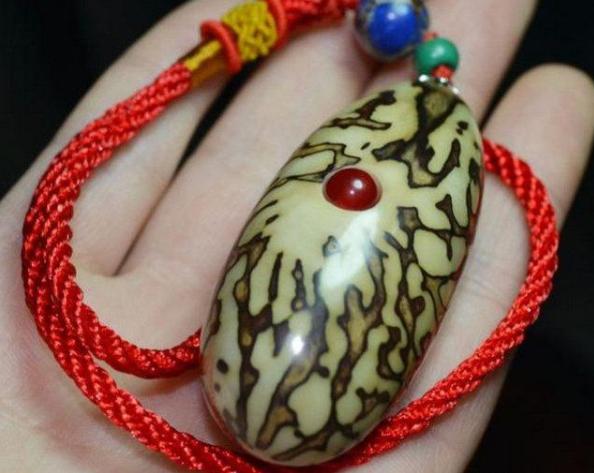 千眼菩提是怎么结的果,千眼菩提和别的菩提区别在哪