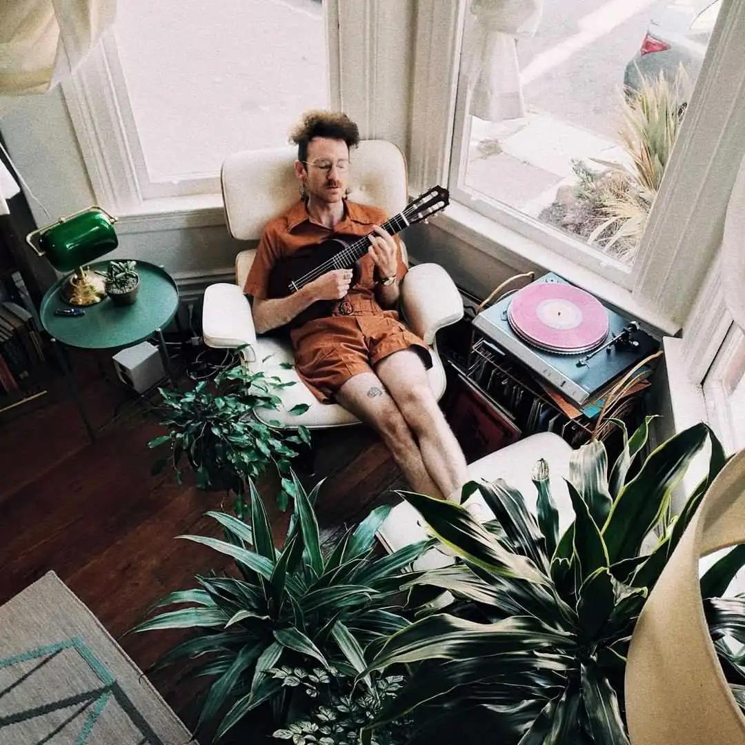 网红必备的高颜值绿植,ins风的网红绿植