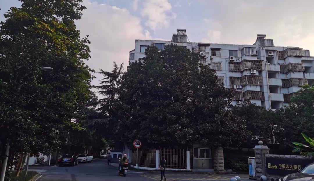 为什么学区房比学历还值钱？上一辈子班，下辈子都买不了学区房