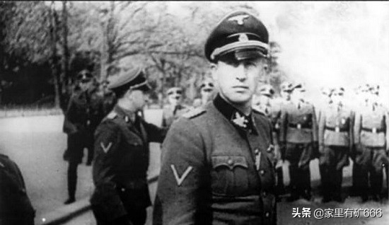 德意志黑王子,纳粹德国黑王子