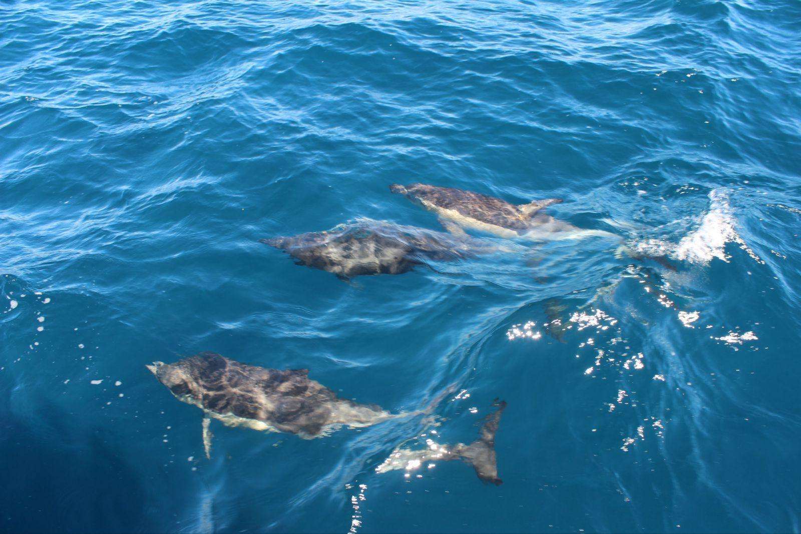 新西兰南北岛旅游景点行程,新西兰南北岛景点