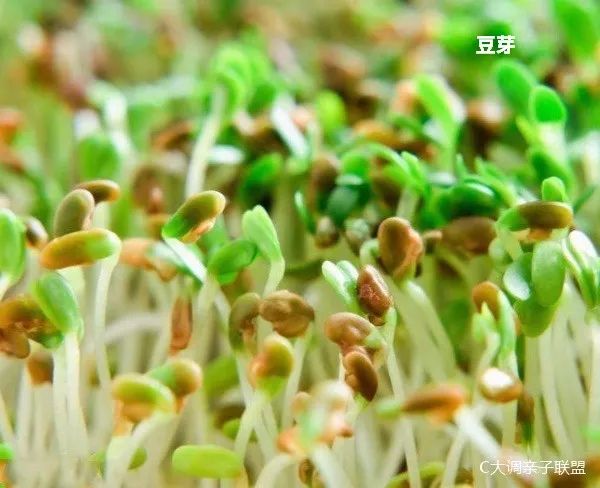 一个字读懂两宋美食