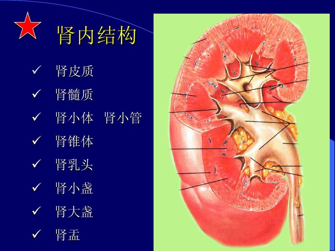 腹膜后血肿的并发症,外伤性腹膜后出血或血肿并发症