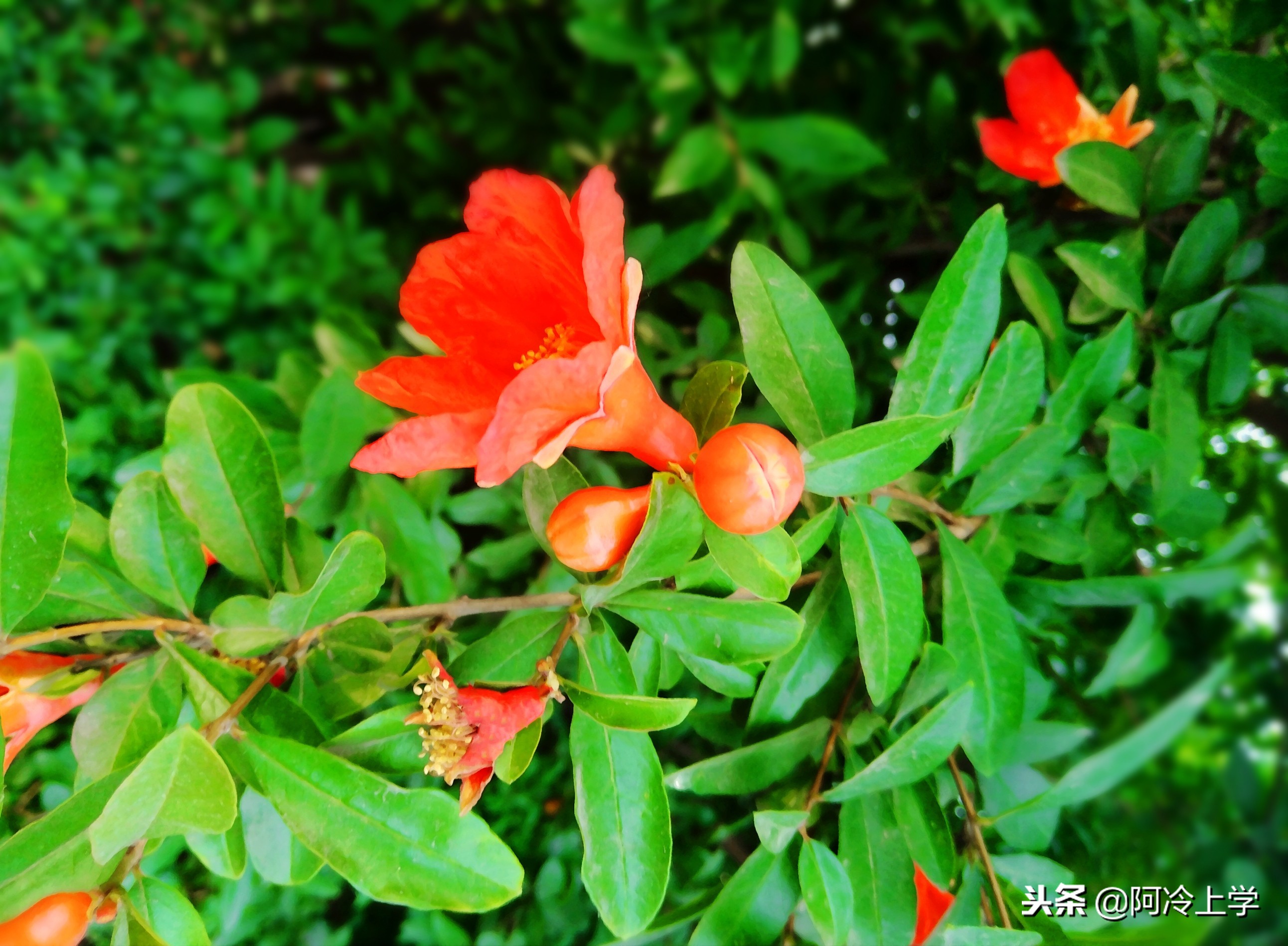 怎么写童话才能写好,怎么写童话故事有意义的