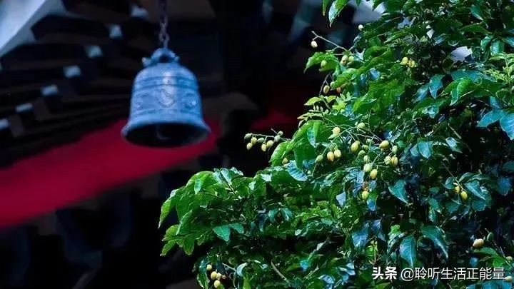 积德无需人见行善自有天知,积德无需人见行善自有天知繁体