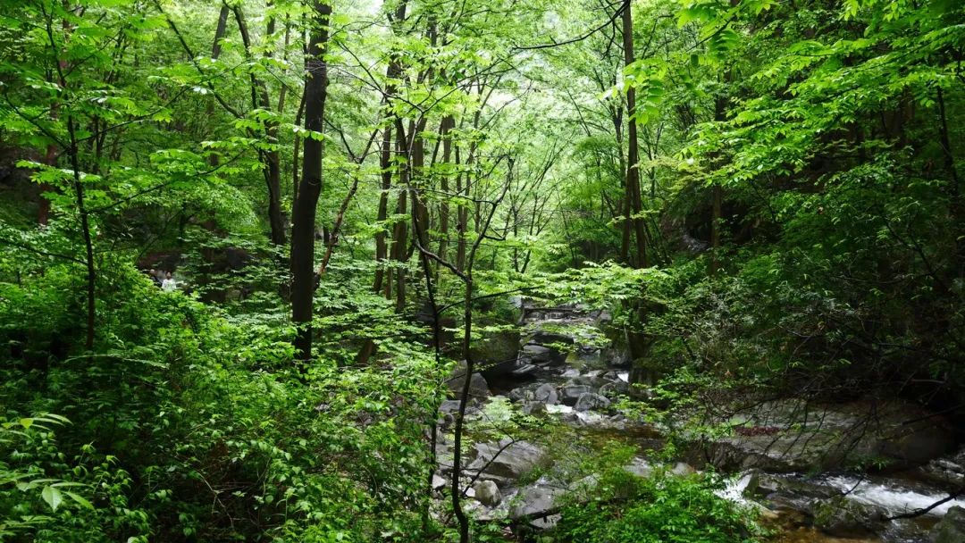 一起爬山吗？西安这些山不仅野，还不要钱~