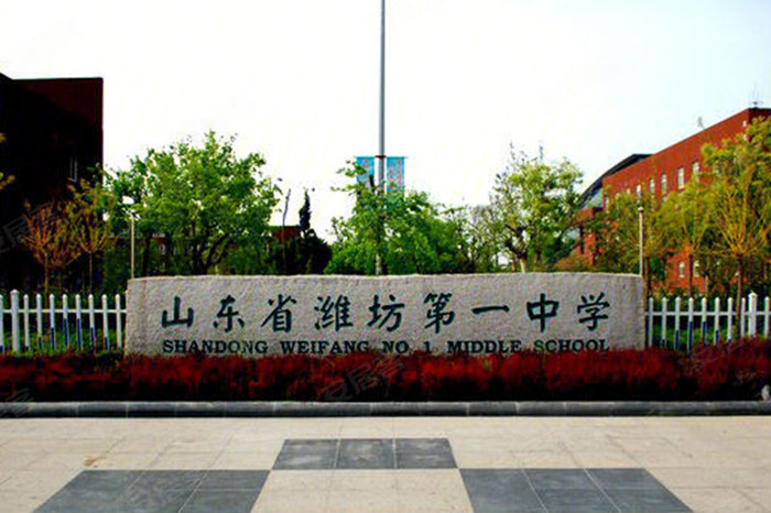 潍坊一中高考状元孟令昊报哪里了,潍坊状元孟令昊在哪上的新华初中