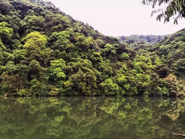武夷山德懋堂|270万起旅居武夷山临溪别墅，遍访先贤遗迹！看云海、逛古村、品香茗，每天都生活在山水画中