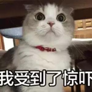 杭州太多人遭殃！花没收到，门店也全关了，“门客生活”真的跑路了吗？