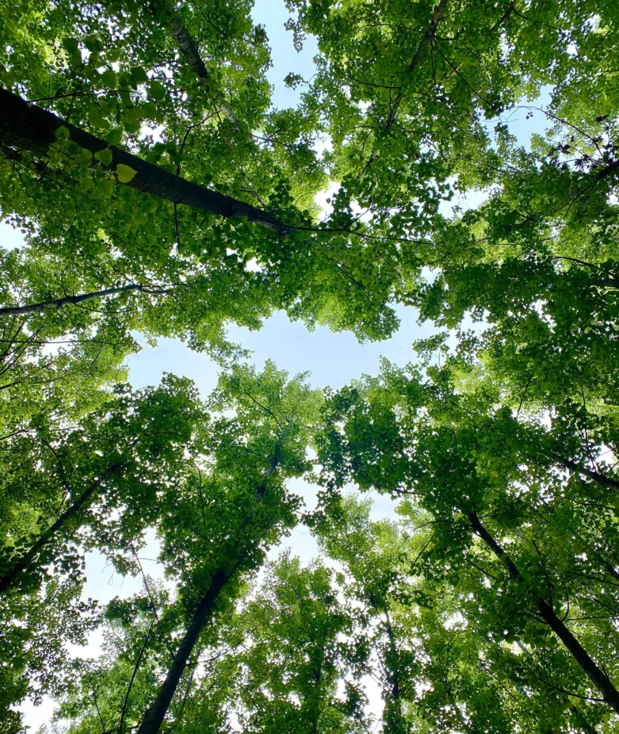 秦岭漂流附近可以烧烤的农家乐,秦岭烧烤农家乐推荐一下