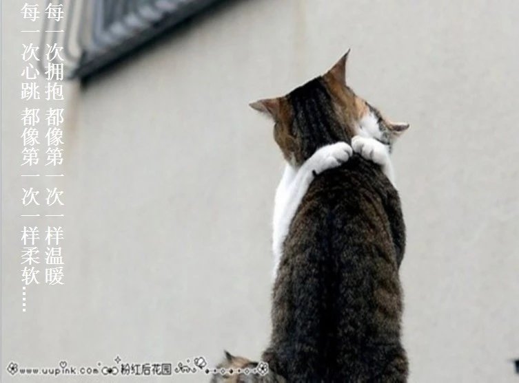 我只想说声爱你,只想再爱你一次