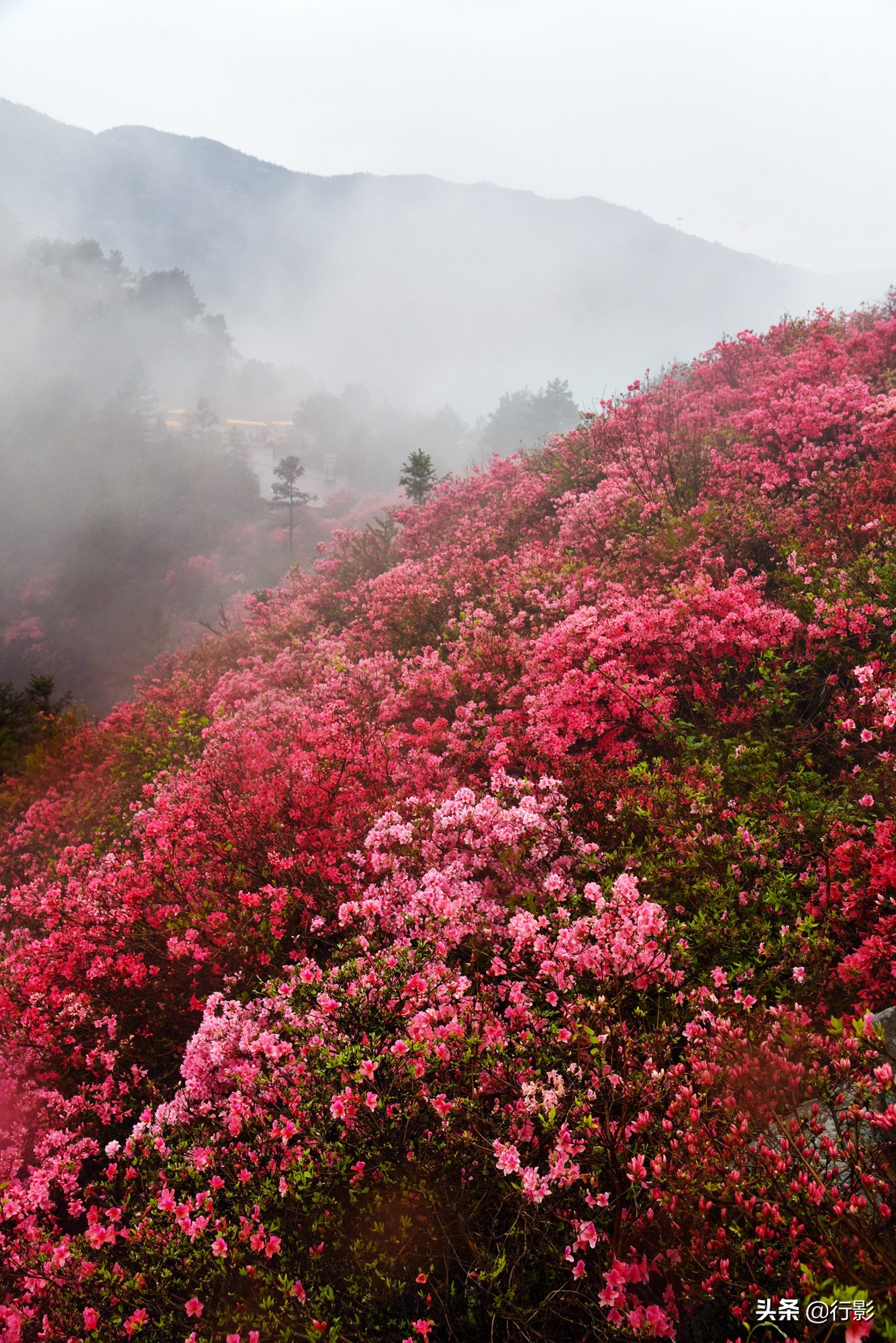 武汉云雾山风景区有什么好玩的,武汉云雾山游玩攻略