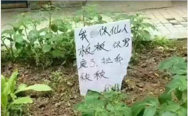 承认吧，全世界都爱说四川话