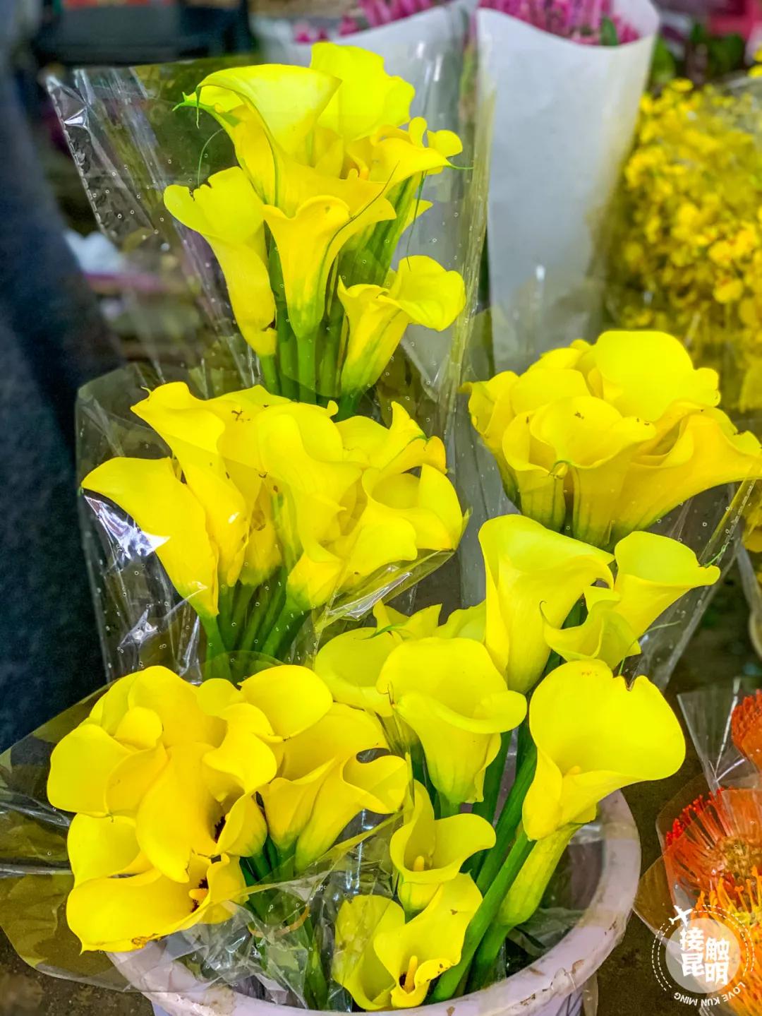 昆明鲜花进货渠道,昆明尚义花市