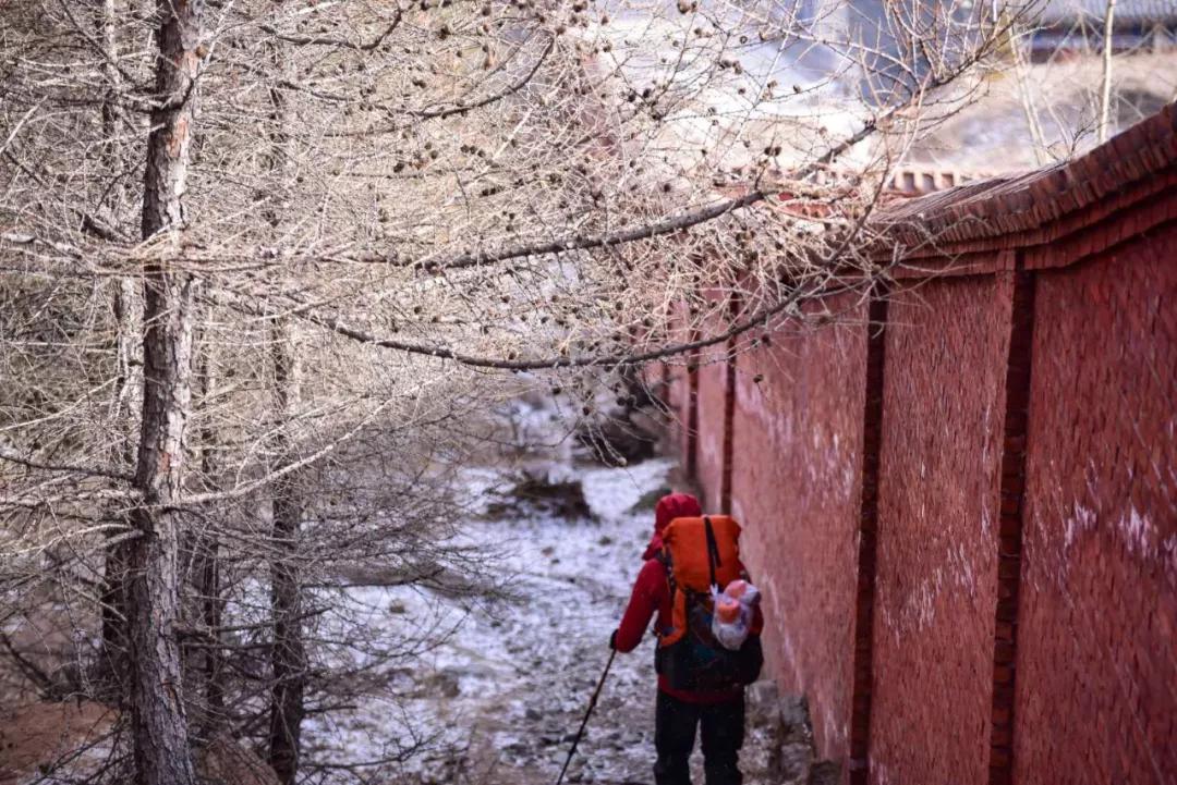中国旅游日五台山免门票景点,五台山旅游攻略免费门票