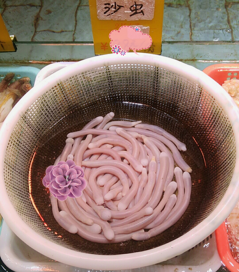 湛江遂溪角头沙旅游攻略,湛江江洪镇旅游攻略