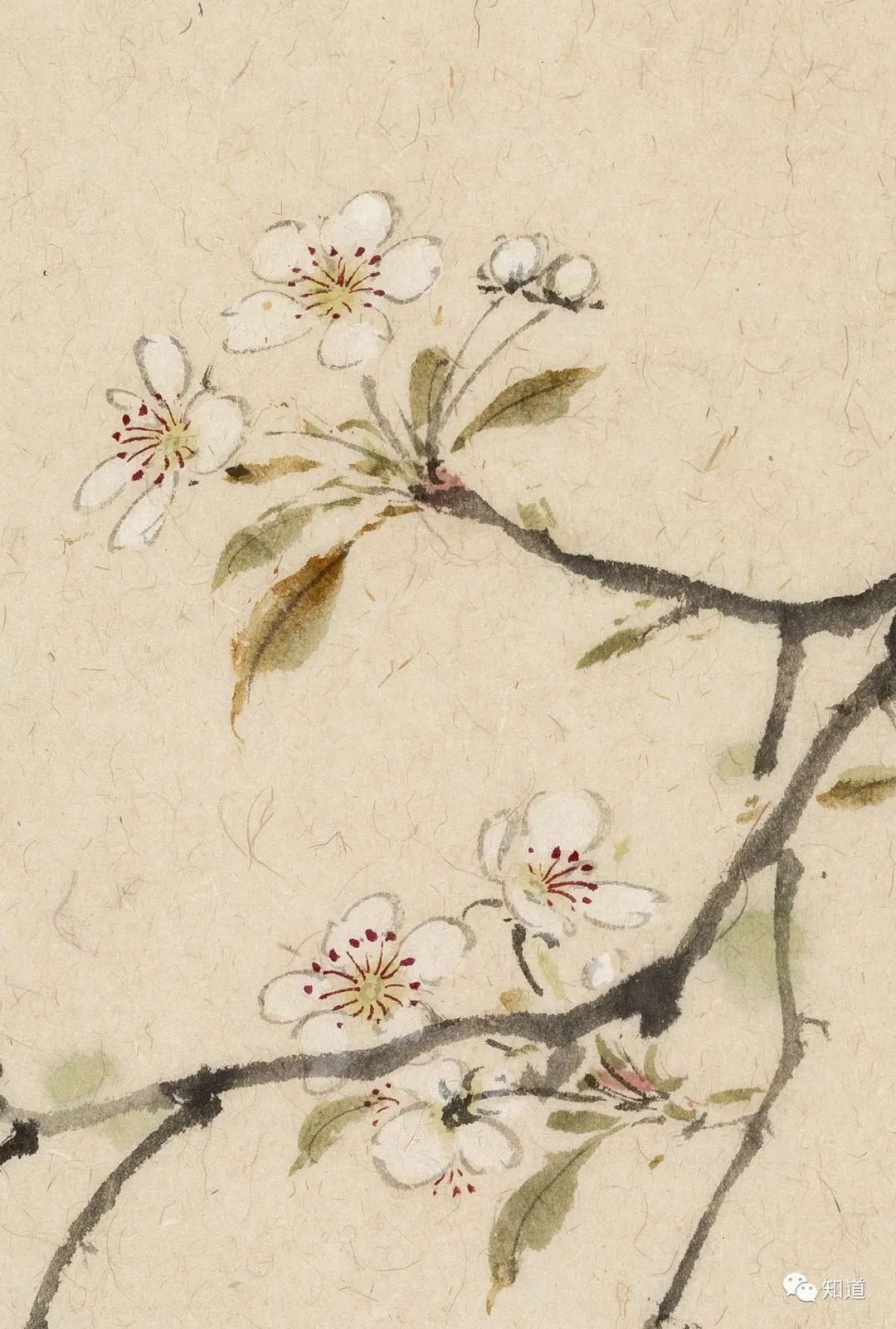 春天的脚步近了好像一切都醒来了,春天的脚步已经悄然而至