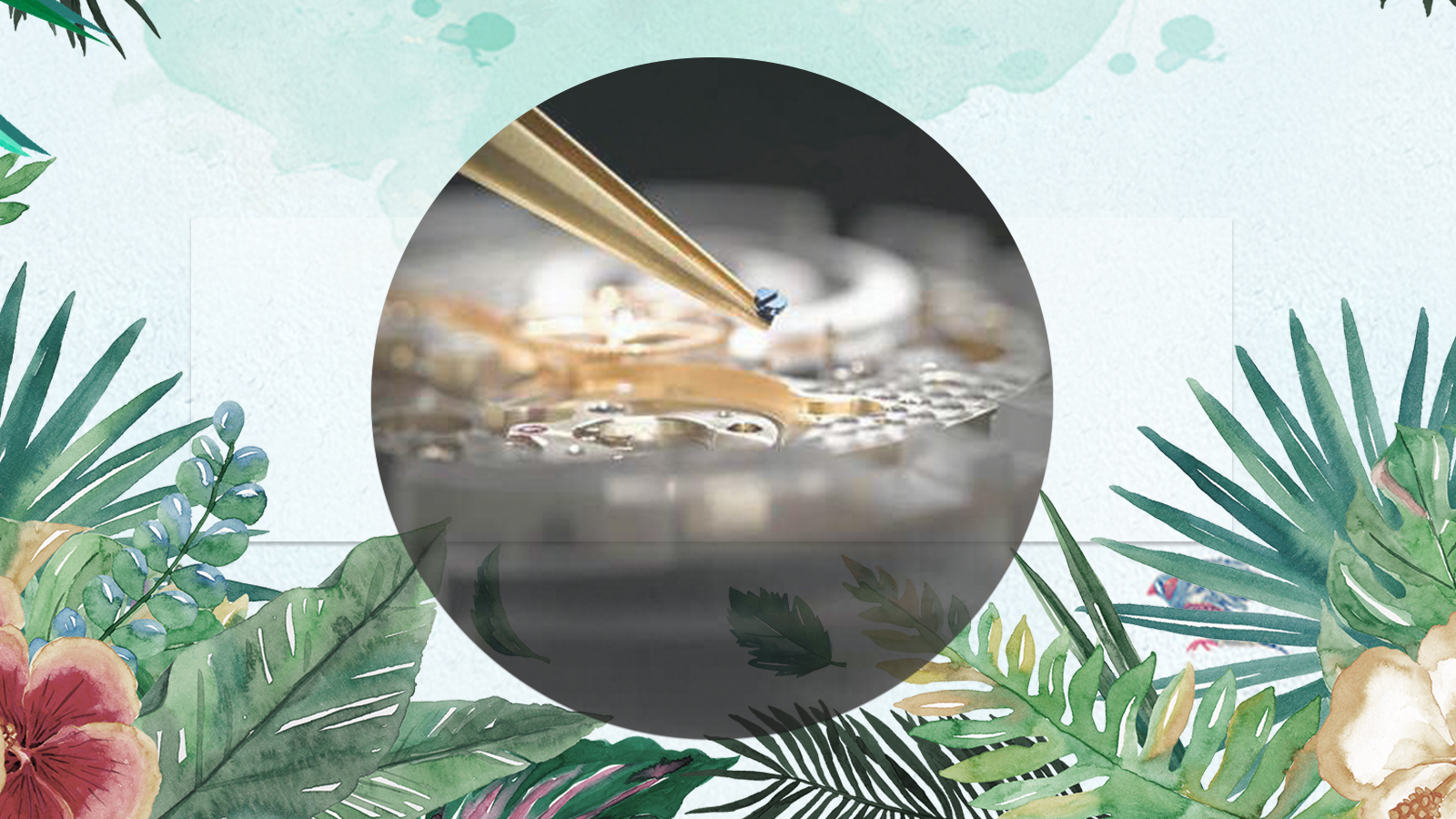 高端腕表成本8000,名表螺丝