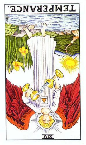 2021年8月塔罗星座运势,塔罗狮子座2021年爱情运势