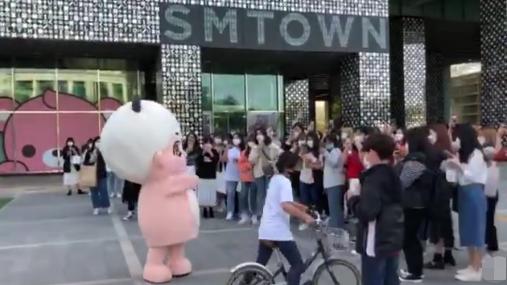 边伯贤生日直播和粉丝约定,边伯贤生日会应援花