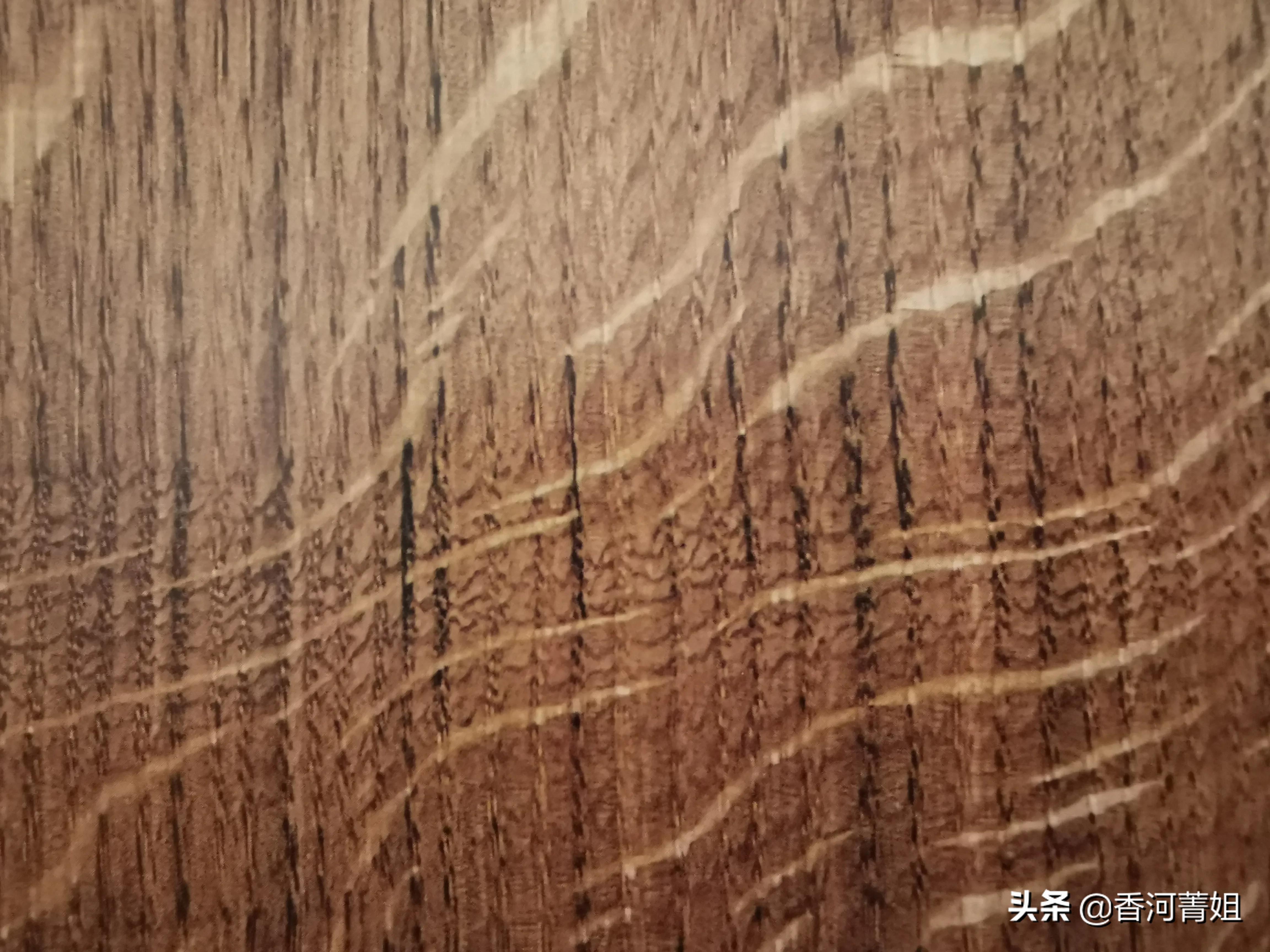 欧洲橡木俄罗斯橡木,欧洲橡木椅