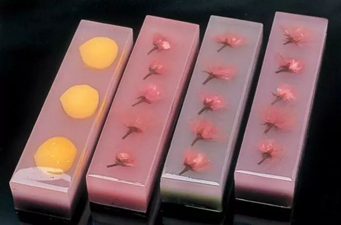 日本最复杂的草莓甜品,日本最顶级甜品