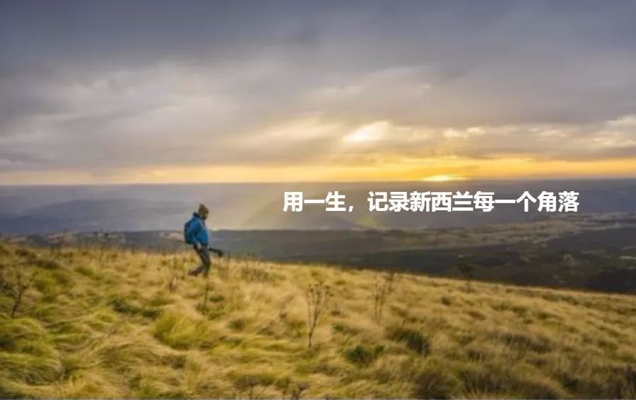 为什么留在新西兰,为什么越来越多人选择新西兰