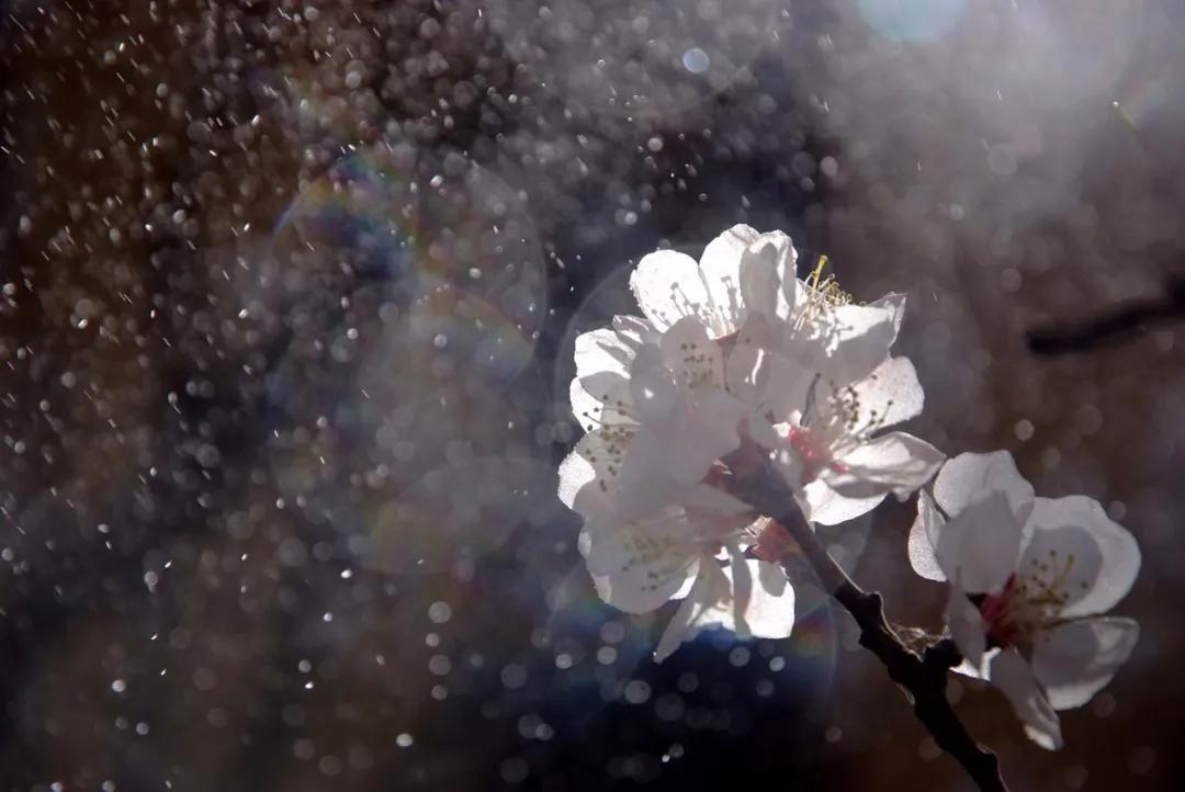 血浆置换治疗过程记录,急危重症抢救成功率