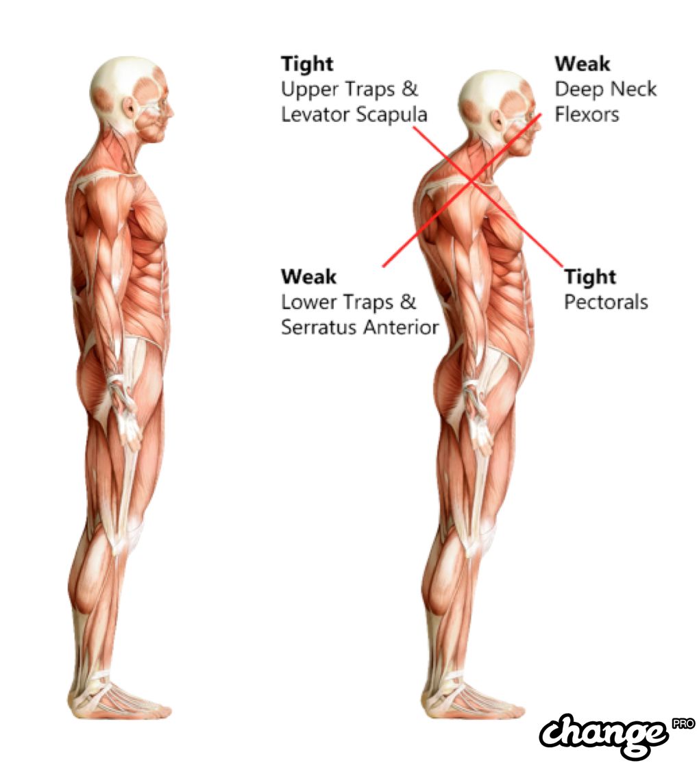 干货如何做到绝对有效,干货如何快速地解决一个问题