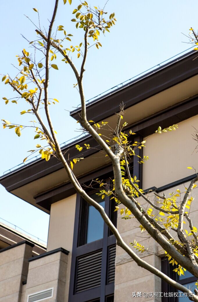 祥泰之州—凤城有佳木