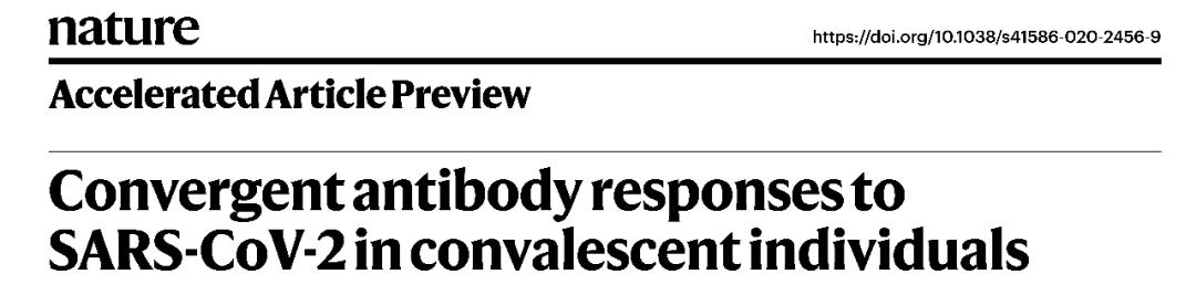 新冠康复抗体是针对一种毒株吗,新冠康复后抗体可抵抗不同毒株吗