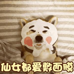 测评|秋冬不补水来年徒伤悲，耗了450片面膜终于觅得“膜王”