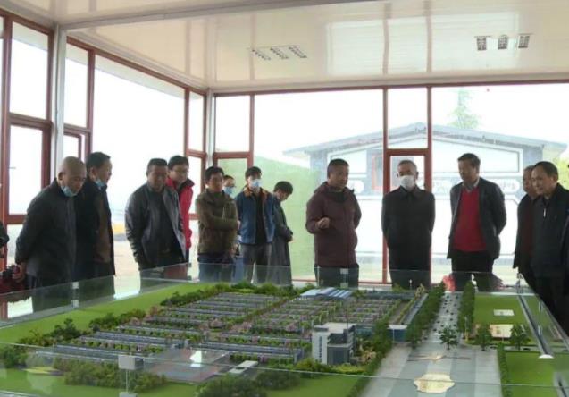 中国兰花之乡有哪些?为何云南独占7个?