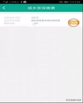 陕西神木医疗保险怎么缴费,陕西省神木市医疗保险缴费