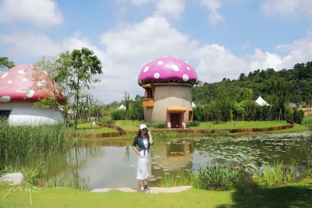 房车露营旅行推荐,自驾出游露营野炊房车营地